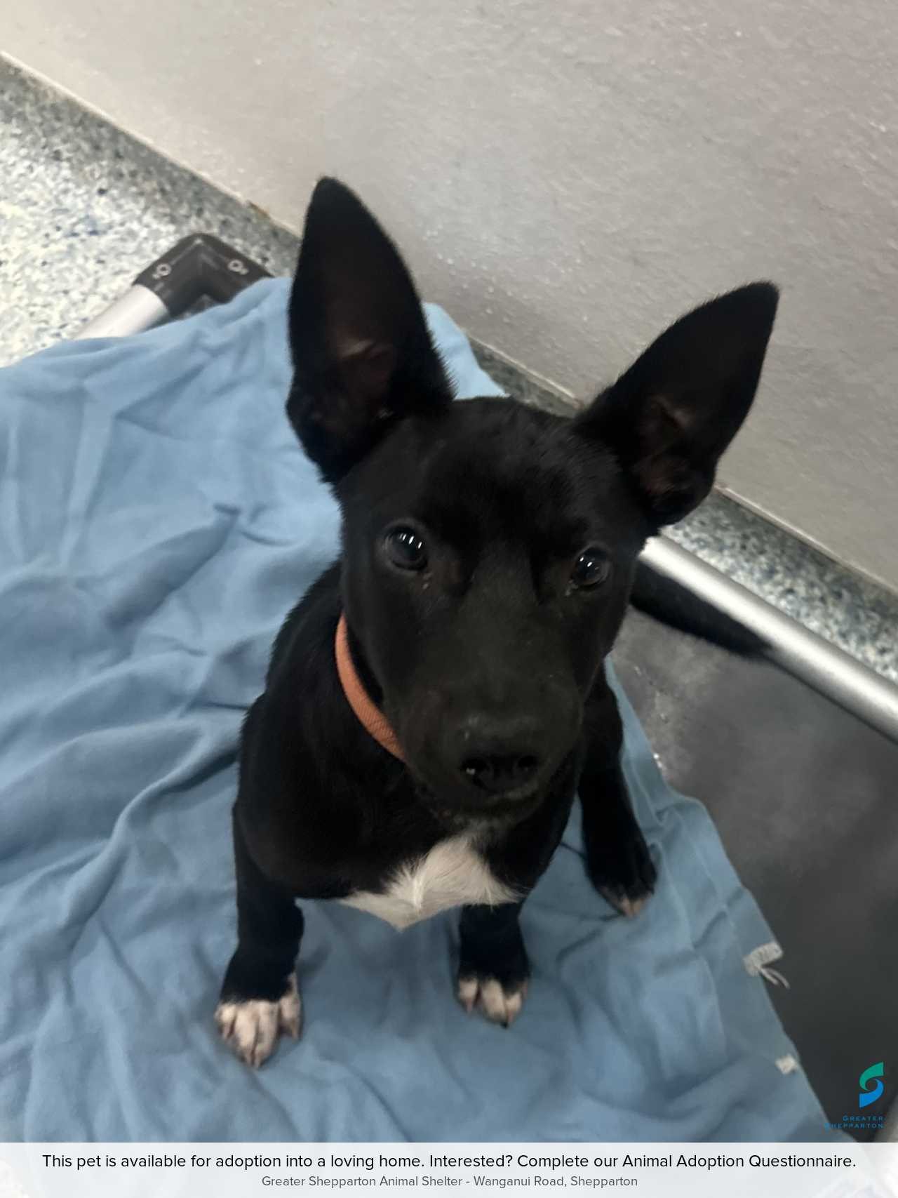 03EFE940-CD8B-49D2-8885-896D10882179