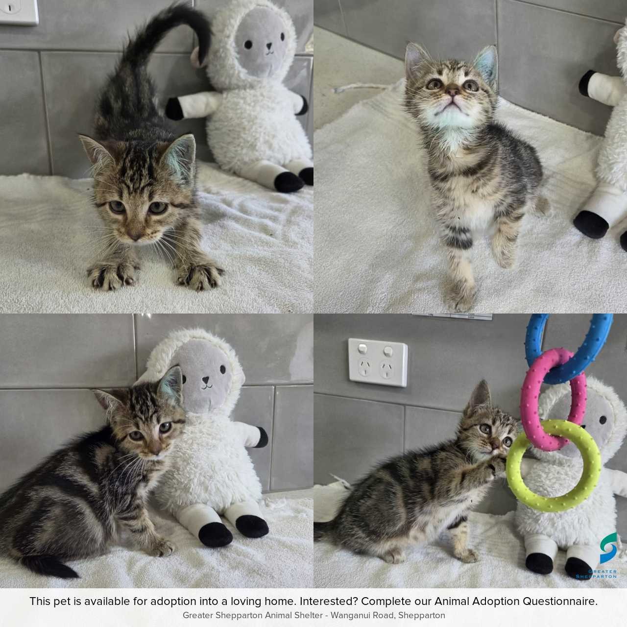 0D211AA2-1ED2-4E89-8992-FAA583B437DD