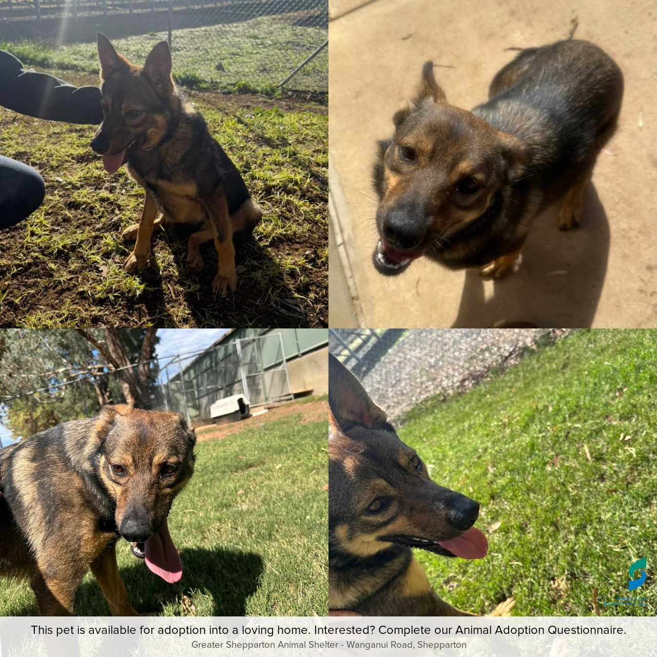 993C0BBB-D25E-4325-8925-068FDB50ED30