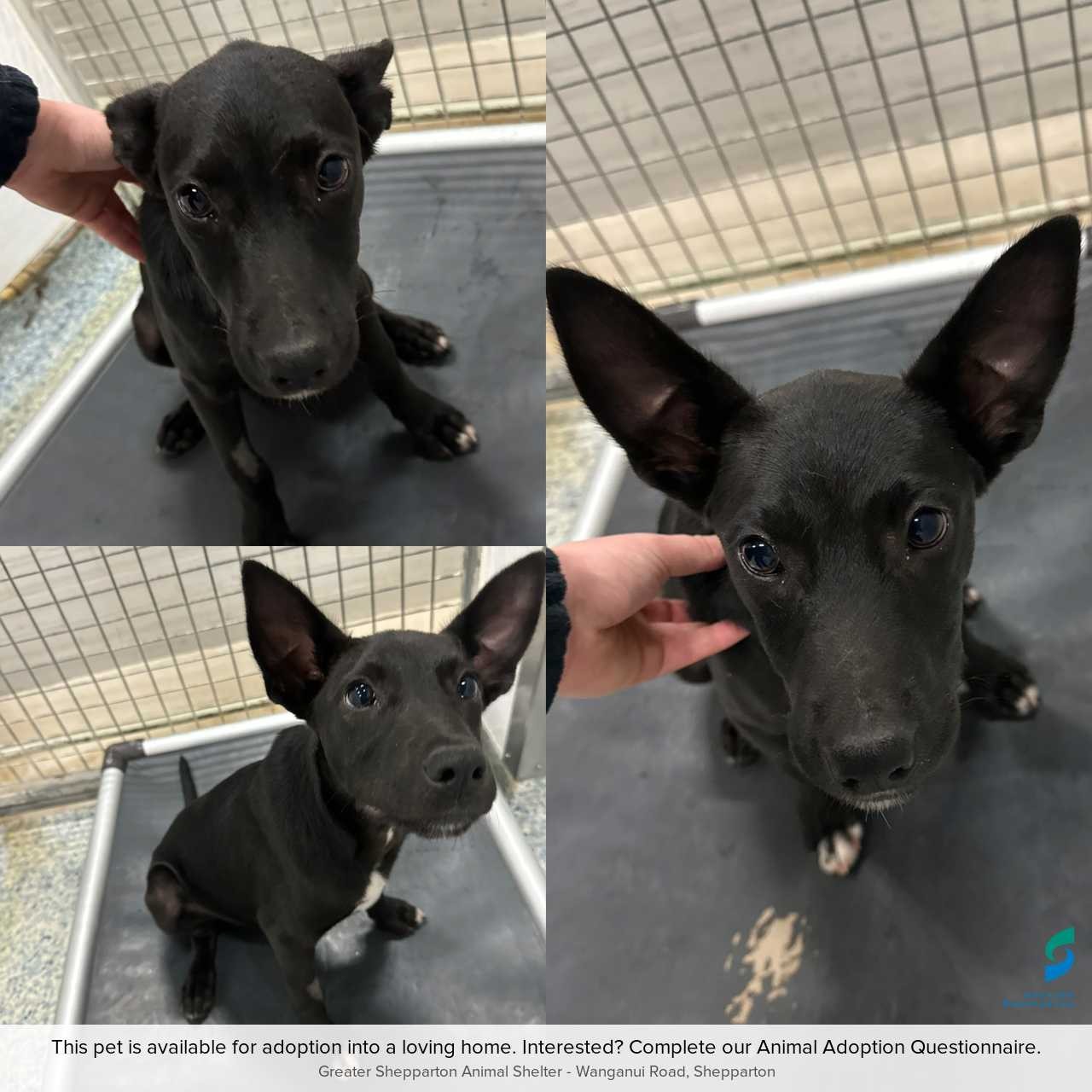 EE11D055-BCEF-48A7-B29F-849F0074002F