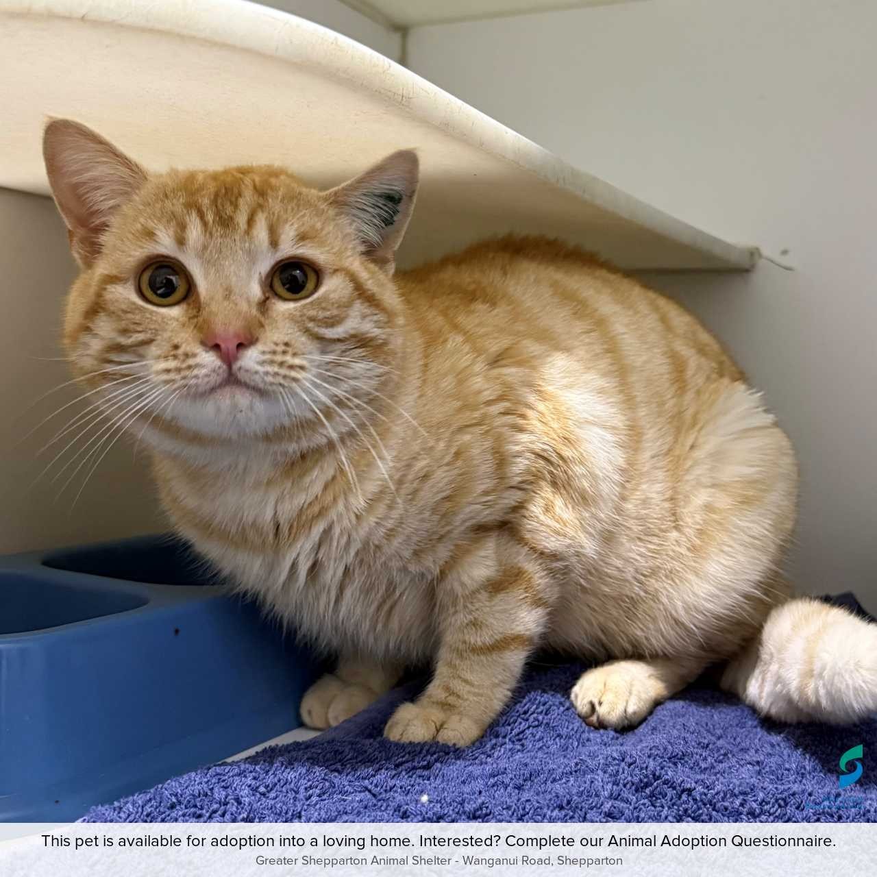 C250708 Charlie