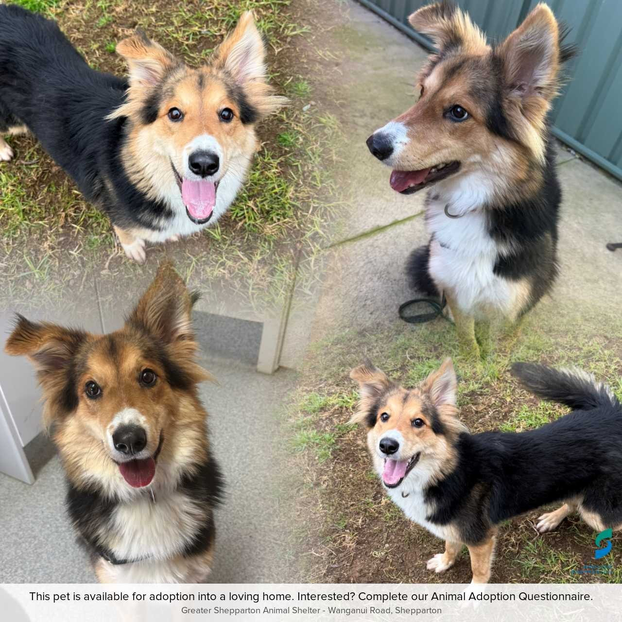 D260351 Maisie