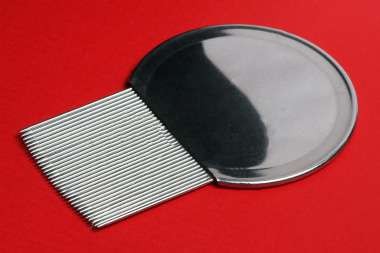 A lice comb.