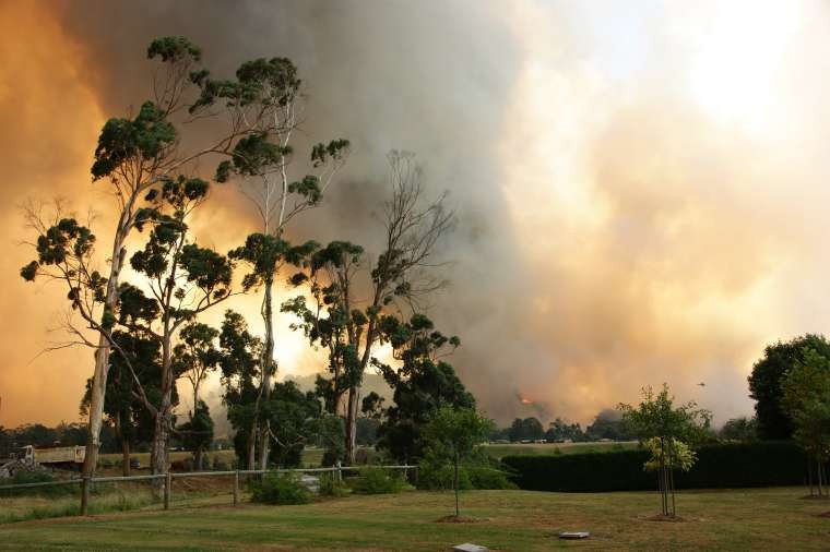 Bushfire Smoke Photo