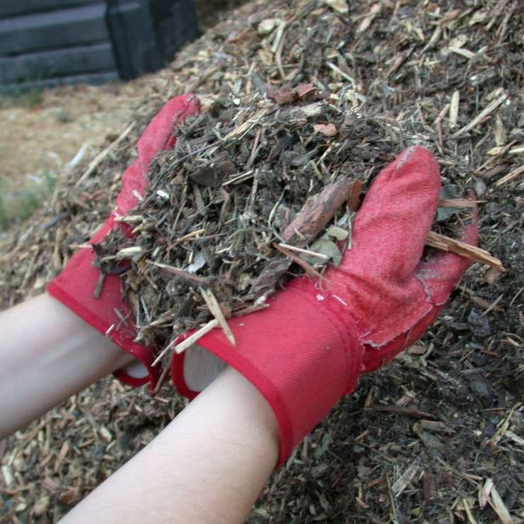 Shredded Mulch