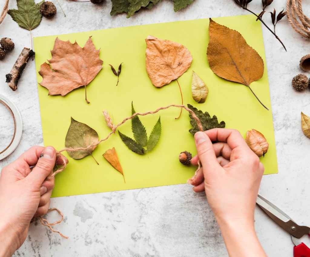 Cover image for event - Nature Collaging