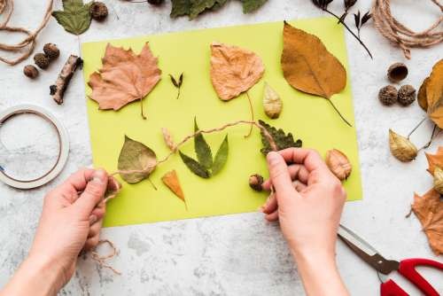 Cover image for event - Nature Collaging