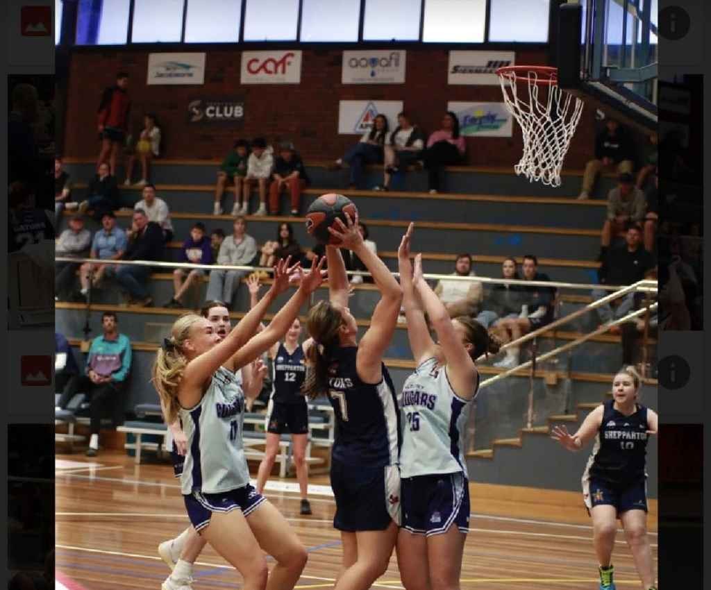 Cover image for event - CBL Shepparton Gators Basketball 