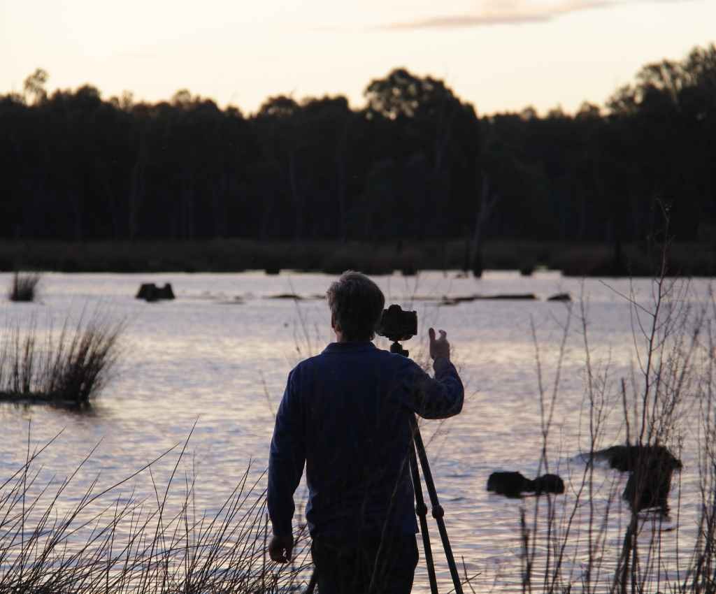 Cover image for event - Nature Photography