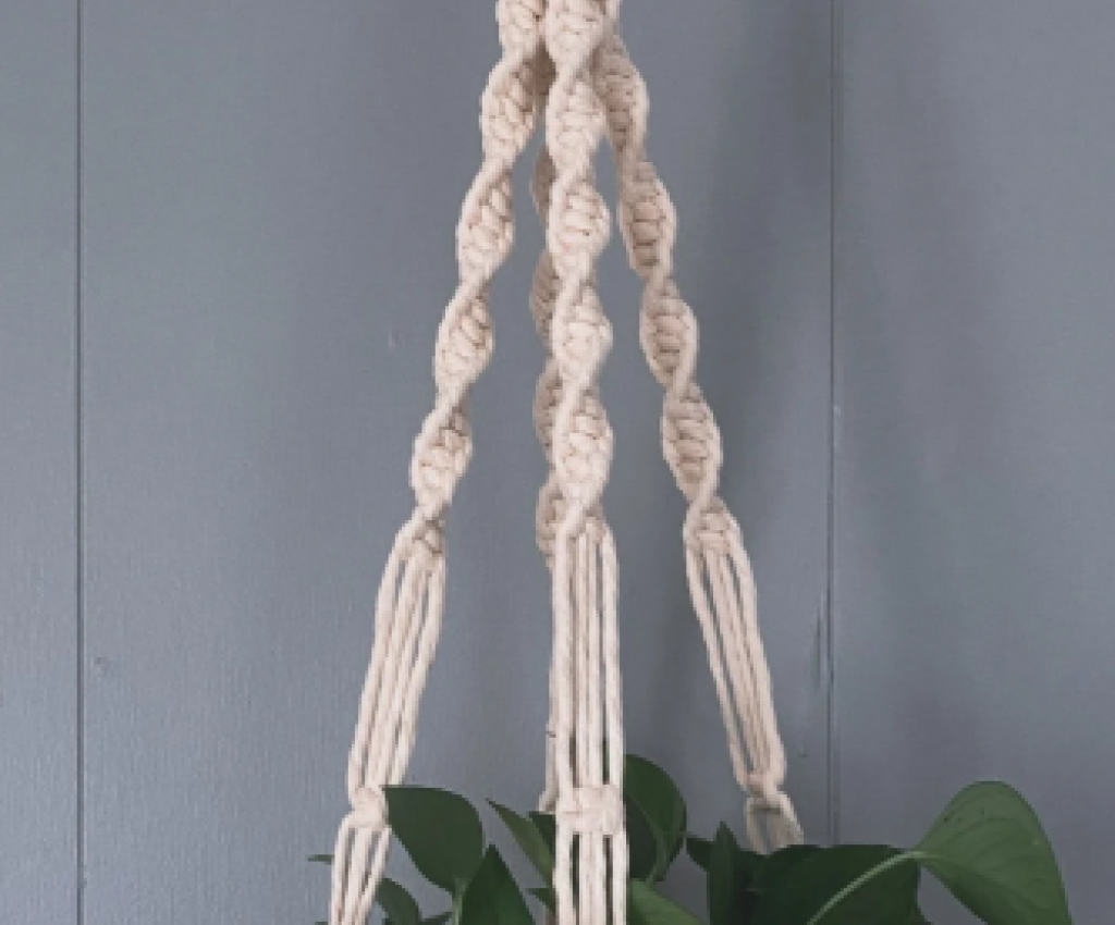 Cover image for event - Libraries After Dark - Macrame Plant Hanger Workshop at Shepparton Library