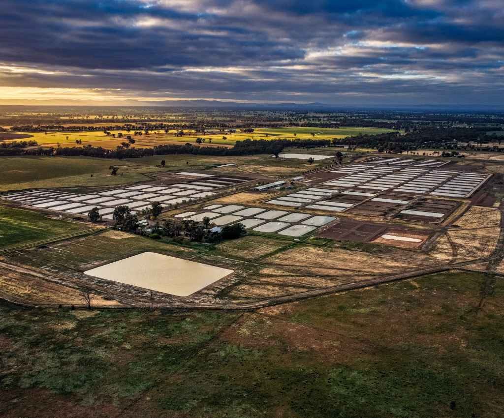 Cover image for event - Arcadia Open Day