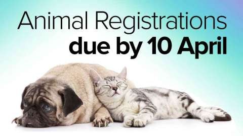 animal registrations