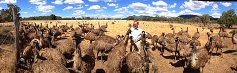 greg grainger to season4