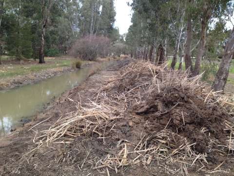 Martin street 4 6 15 005