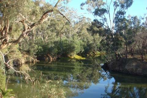 248 Goulburn River Jordans Bend opposite Snake Island