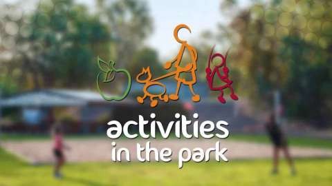activities in the park