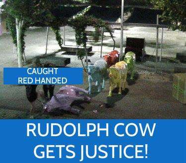 941057 438099123045826 5185210832575844483 n