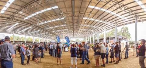 International Dairy Week-20160120-1806-Pano-small