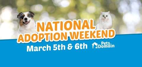 12698260 1029955710401940 7442569995694555348 o