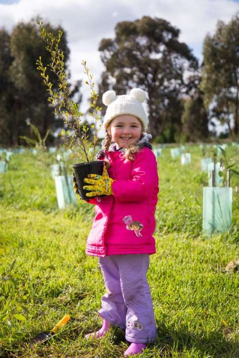 One Tree Per Child - 20160627 - 3816
