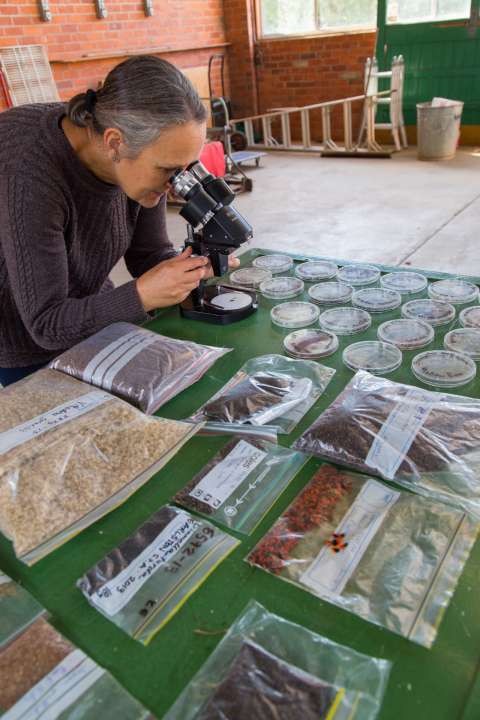 Dookie Food Fibre Careers - 20170518 - 8922