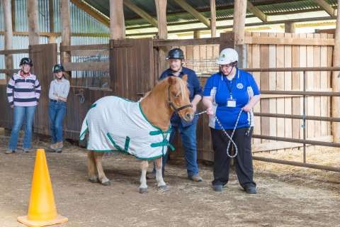 Dookie Food Fibre Careers - 20170518 - 8978