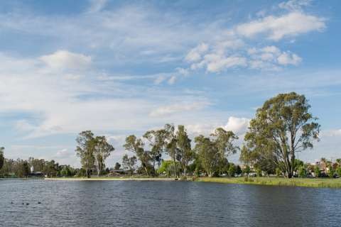 Victoria Park Lake-20151102-6037