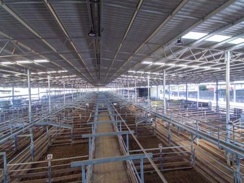 Shepparton Saleyards Aerial Drone - 20170308 - 0112