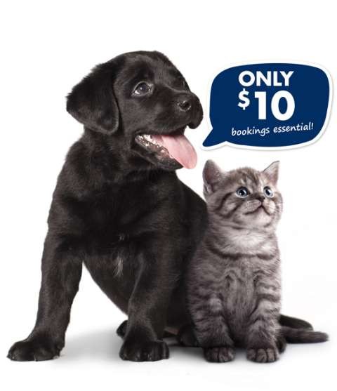 TheGreatMicrochipBlitzImage