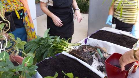 Sustainable working group re potting workshop 31032015 7