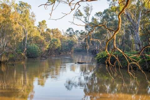 Goulburn River - 20160906 - 5042 - edited