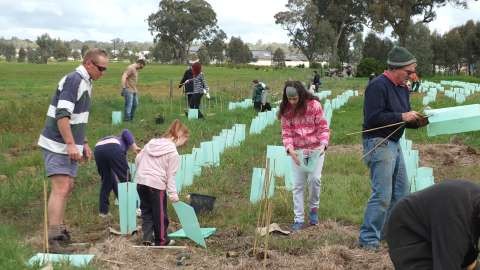 Families planting trees at National Tree Day 2016