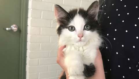 C190115 - Heath M - Copy