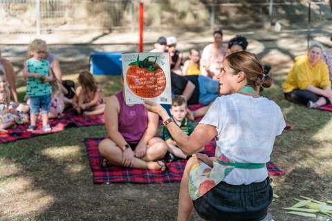 Activities in the Park