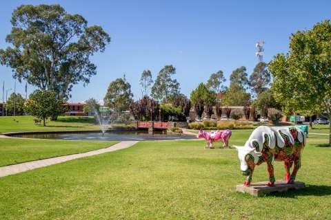 Moooving Art Cows Monash Park-3402