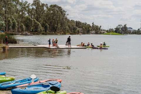 Paddlehub 16 02 2020