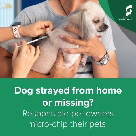 Responsible Pet Social Graphics