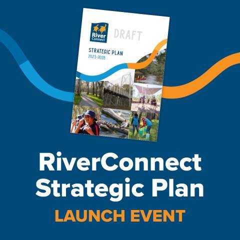 RiverConnect Launch Social