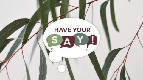 Shaping Greater Shepp1