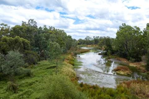 Cussen Park Tatura 25 DJI 0084 08 March 2023 Lingy