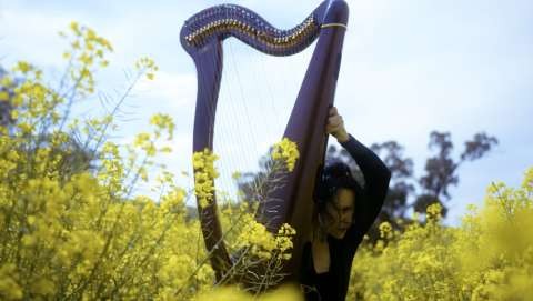 Image: Jen Valender, <em>Artist as Animal</em> (still, 2022). Image courtesy of the artist.
