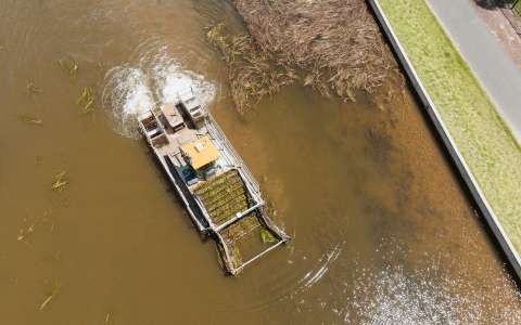 Eel Grass cutting at Victoria Park Lake 06 DJI 0125 30 January 2023 Lingy