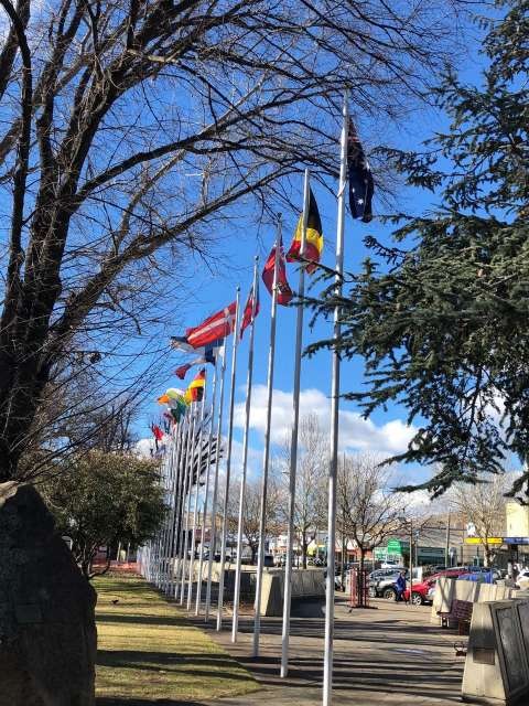 avenue-of-flags-cooma-nsw