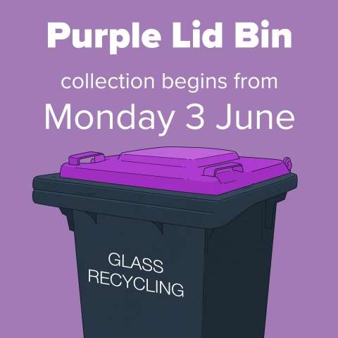 Purple Bin Social - The Know