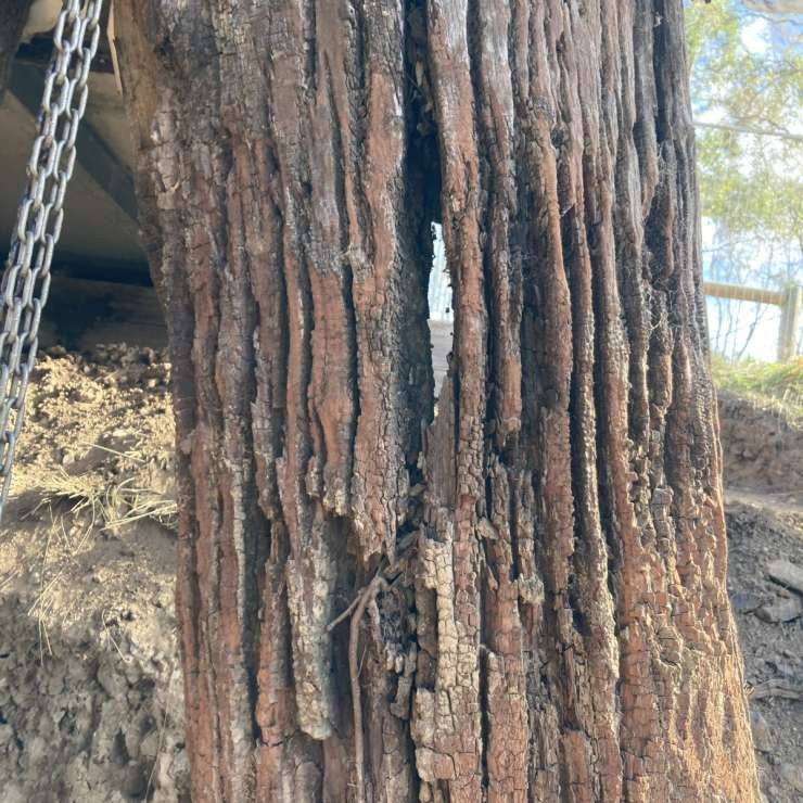 Pier badly damaged 1