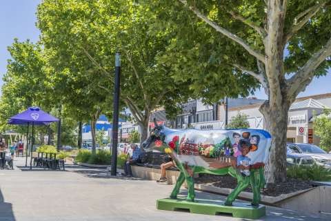 RCV Chair and Greater Shepparton Mayor Cr Shane Sali has welcomed cost-of-living relief in the Federal Budget but called for stronger investment in regional Victoria.