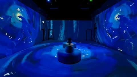 Disruption - An Immersive Art Experience - Photo by Abram Rasmussen - ARC Media - 1