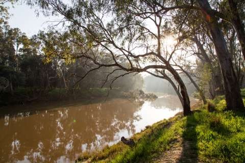 Goulburn River - 20160906 - 5061