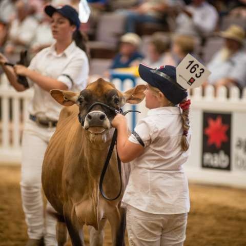 international dairy week